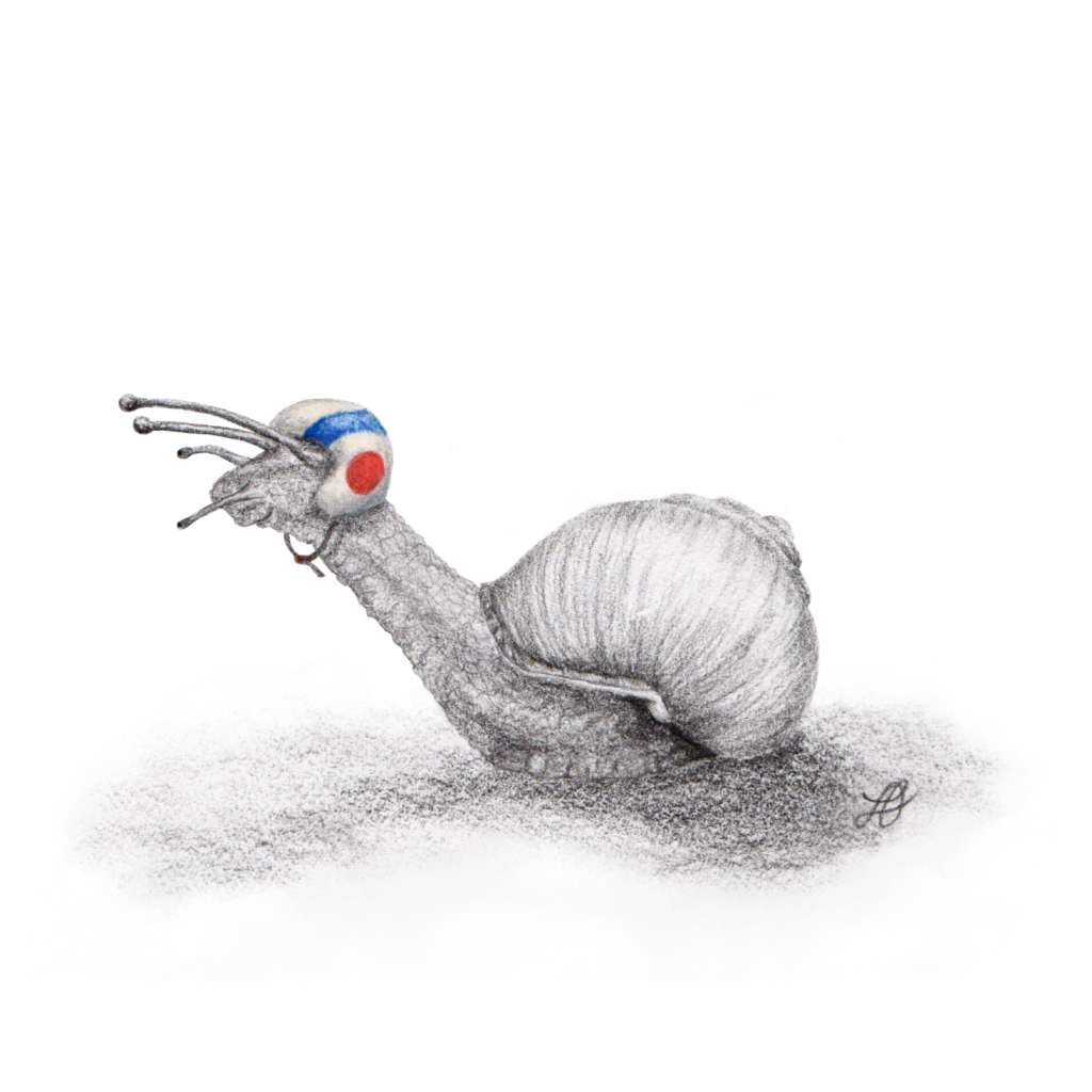 Rennschnecke