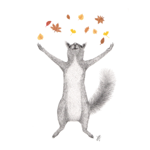 Laubhörnchen