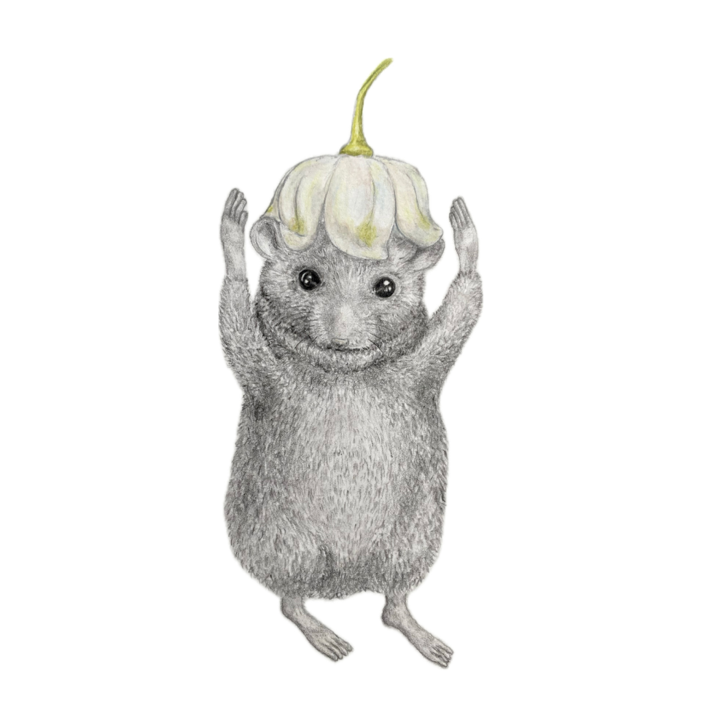 Helmmaus