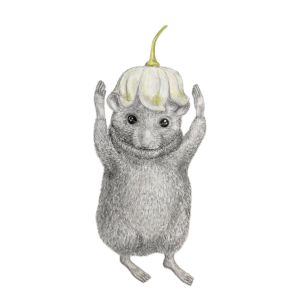 Helmmaus